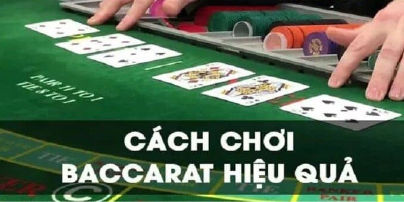 Tìm Hiểu Cơ Bản Về Cách Chơi Baccarat 2024