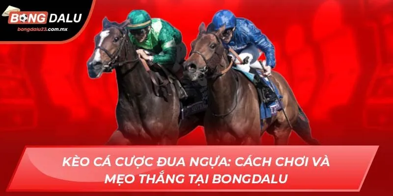 Kèo Cá Cược Đua Ngựa: Cách Chơi Và Mẹo Thắng Tại Bongdalu